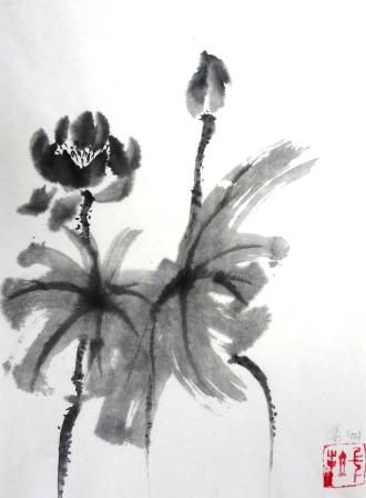 lotus 
		zwart-wit 28x20